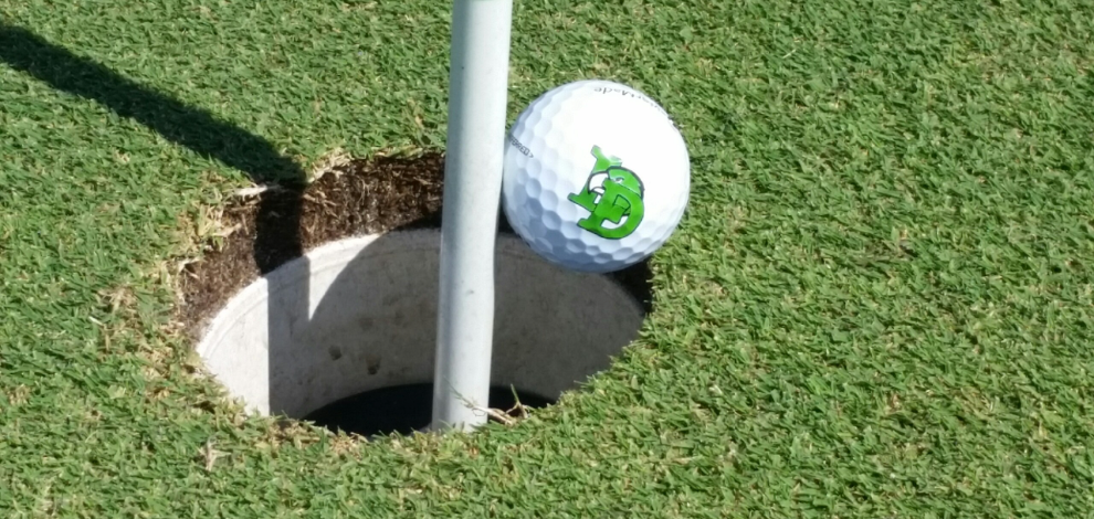 Want to join the team??   Click the Golf Tryout Questionnaire below